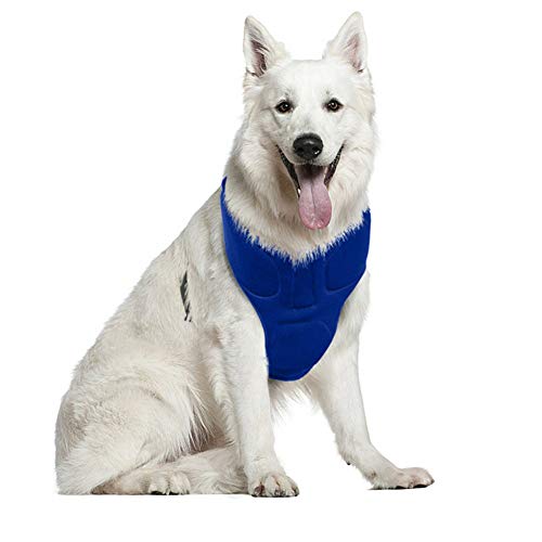 ppactvo Pet Cooling Vest Hund Ice Jacket Cooler Sommer FüR Kleine MittelgroßE Hunde Walking Climbing Sports von ppactvo