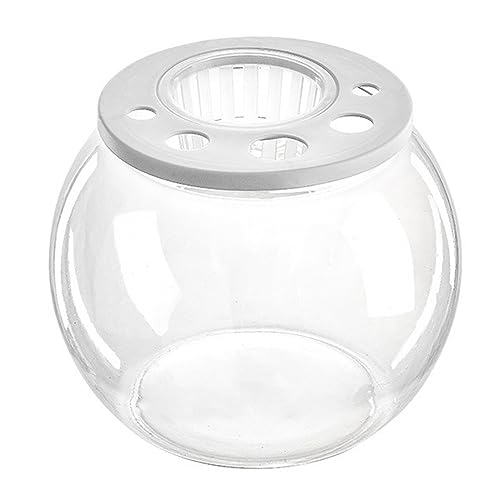 predolo Aquarium Fischschale Tischdekoration Transparent DIY Mikrolandschaft Aquatisches Aquarium für Restaurant Büro Wohnzimmer Café Dekor, RUNDEN von predolo