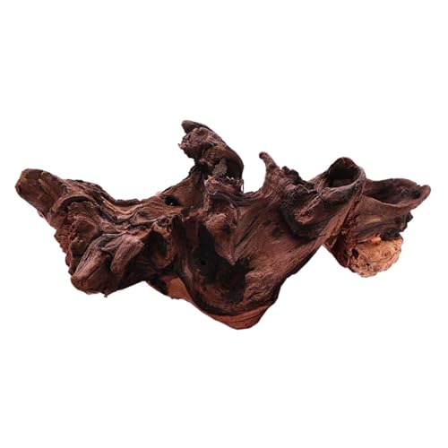 predolo Aquarium Treibholz Holz Stamm Ornament, Treibholz Dekor Reptilien Zweig Aquarium Dekoration, 15cm bis 20cm von predolo