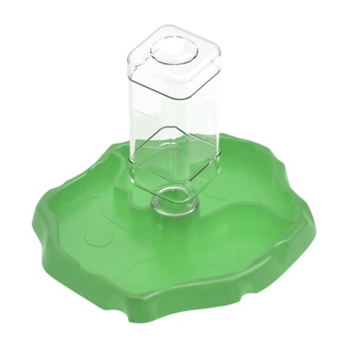 predolo Aquariumzubehör mit Futterspender, Schildkrötennapf sowie Wasserbehälter für Frösche, Dunkelgrün predolo Aquariumzubehör mit Futterspender, Schildkrötennapf sowie Wasserbehälter für Frösche, Dunkelgrün von predolo