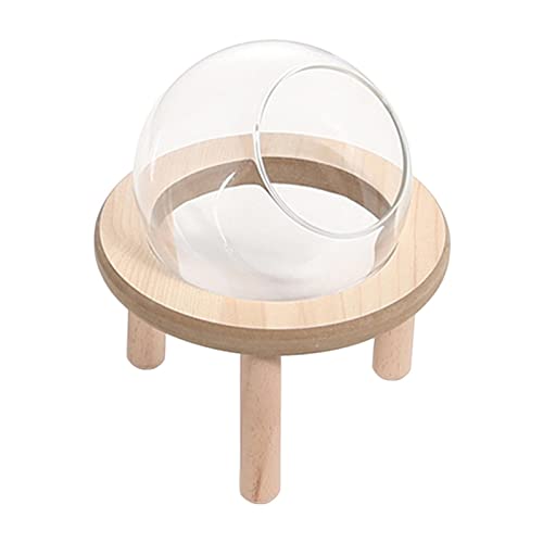 predolo Hamster Sandbad Container Badezimmer Hamster Sandbad Box Kleintierbad für Frettchen, 10CM von predolo