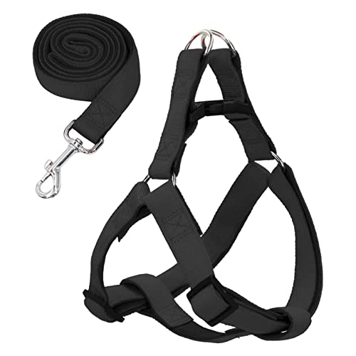 predolo Haustier-Hundegeschirr und Leine-Set, Welpenweste, Verstellbarer Brustgurt, für das Outdoor-Trainingsgehen, 1,5 cm x 120 cm von predolo