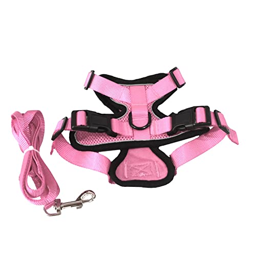 predolo Hundegeschirr und Leine Set für kleine Vierbeiner, Komfortables Brustgeschirr, Reflektierend, Rosa XS von predolo