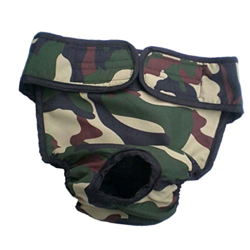 predolo Hundeschutzhose für Rüden - Bequeme Baumwollhose für den Schutz Ihres Rüden, Camouflage, L von predolo