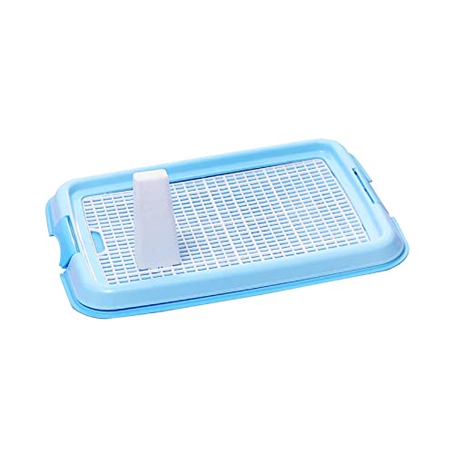 predolo Hundetoilette Puppy Pee Tray Loo Pad Urinal Lattice Potty Trainer Wiederverwendbare Pet Training Toilettenschale für kleine und mittlere Hunde, Blau von predolo