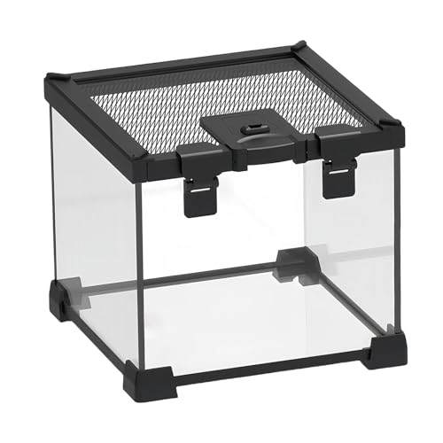 predolo Reptilien Terrarium, Glas Lebensraumkäfig, Terrarium, Zuchtbox, Reptilien Vivarium für Hornfrösche, Chamäleons, Schildkröten, Geckos predolo Reptilien Terrarium, Glas Lebensraumkäfig, Terrarium, Zuchtbox, Reptilien Vivarium für Hornfrösche, Chamäleons, Schildkröten, Geckos von predolo