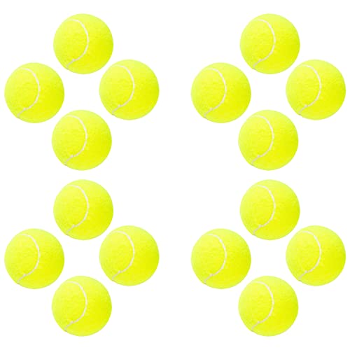 ptlsy Hunde-Tennisbälle, 16 Stück, leicht zu fangen, Haustier-Tennisbälle für Hunde, interaktive Hundebälle, Standardgröße, Tennisbälle für Werfen und Apportierspiel (6.3 cm) von ptlsy