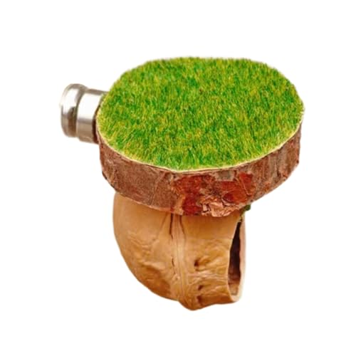 Höhle für Haustiere aus Holz mit Design für springende Spinnen und Reptilien Terrarium Landschaft Zubehör belüftet Reptilien Terrarium Box Höhle für Haustiere aus Holz mit Design für springende Spinnen und Reptilien Terrarium Landschaft Zubehör belüftet Reptilien Terrarium Box von pumpumlia