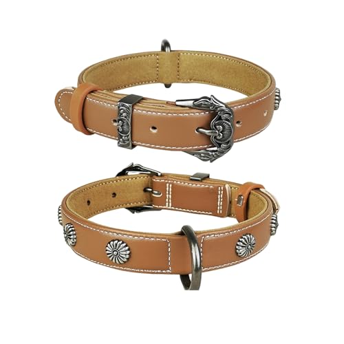 puplrpet Hundehalsband aus hochwertigem Mikrofaser-Leder mit stilvollen Nieten für kleine und große Hunde und Komfort für Ihren pelzigen Freund, Braun von puplrpet