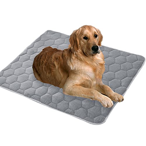 qing yun Hundeboxenmatte, großes Hundekissen, beruhigendes Hundebett, mittelgroß, atmungsaktiv, rutschfest, Haustiermatte für große Hunde, Welpen, Katzen, ältere Hunde (95 x 75 cm, Grau) von qing yun