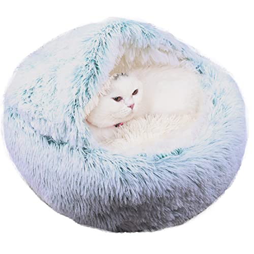 qing yun Katzenhöhlenbett, flauschiger Katzen-Schlafsack, gemütliches Plüsch, warm, Haustier, Hundehöhle, Bett, Angstlinderung, Katzen-Iglu-Bett für Indoor-Katzen (35 cm, Plüschgrün) von qing yun