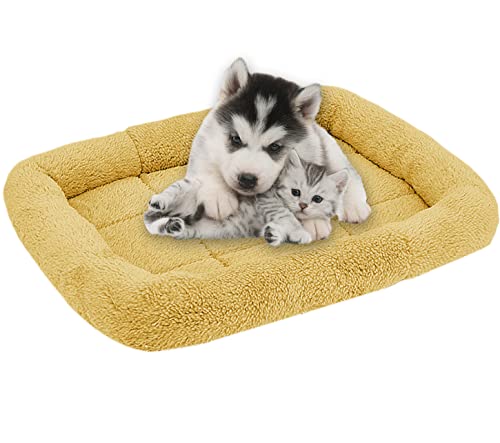 qing yun Weich gepolsterte Hundematte aus Fleece, für Welpen, Kätzchen, Katzen, Hunde (L 70 x 55 cm, beige) von qing yun