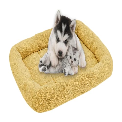 qing yun Weiches Hundebett, Fleece, für Hunde und Katzen, rutschfest, für Welpen, Katzen, Hunde, Größe M, 50 x 40 cm, Beige von qing yun