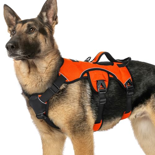 rabbitgoo Ausbruchsichere Hundegeschirr Grosse Hunde mit Griff, Anti Zug Sicherheitsgeschirr Hund Atmungsaktiv, Verstellbare Brustgeschirr, Gepolstertem Geschirr Hund Groß, Panikgeschirr, Orange XL von rabbitgoo