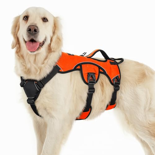 rabbitgoo Ausbruchsichere Hundegeschirr Grosse Hunde mit Griff, Anti Zug Sicherheitsgeschirr Hund Atmungsaktiv, Verstellbare Brustgeschirr, Gepolstertem Hundeweste, Panikgeschirr, Orange L von rabbitgoo