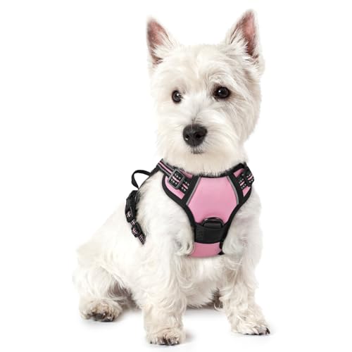 rabbitgoo Hundegeschirr Kleine Hunde Anti Zug Geschirr Hund mit Kontrolle No Pull Verstellbar Hundegeschirr Grosse Hunde Atmungsaktiv Reflexstreifen Brustgeschirr Hund Sichere Führung Rosa XS von rabbitgoo