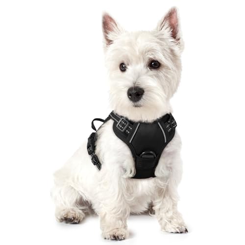 rabbitgoo Hundegeschirr Kleine Hunde Anti Zug Geschirr Hund mit Kontrolle No Pull Verstellbar Hundegeschirr Grosse Hunde Atmungsaktiv Reflexstreifen Brustgeschirr Hund Sichere Führung Schwarz XS von rabbitgoo