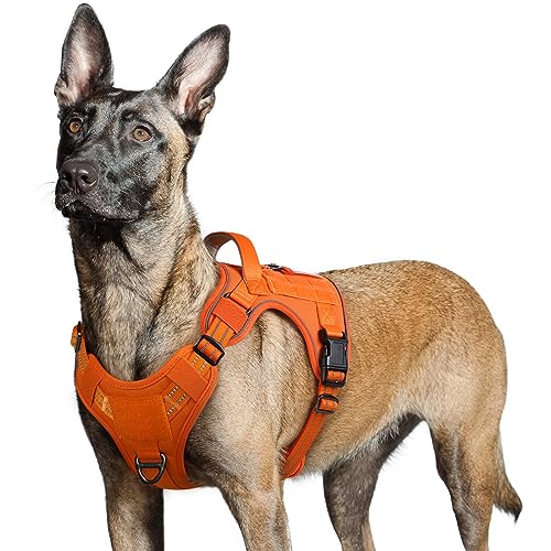 rabbitgoo Hundegeschirr Grosse Hunde, Anti Zug Geschirr Hund Verstellbar mit Griffe Verbreitert, Robust und Verschleißfest, Taktisches Hundegeschirr mit Metallschnallen zum Wandern(L, Orange) von rabbitgoo