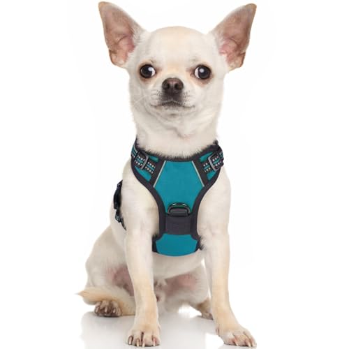 rabbitgoo Hundegeschirr Kleine Hunde Anti Zug Geschirr Hund mit Kontrolle No Pull Verstellbar Hundegeschirr Grosse Hunde Atmungsaktiv Reflexstreifen Brustgeschirr Hund Sichere Führung Blaugrün XS von rabbitgoo