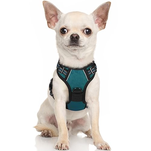 rabbitgoo Hundegeschirr Kleine Hunde Anti Zug Geschirr Hund mit Kontrolle No Pull Verstellbar Hundegeschirr Grosse Hunde Atmungsaktiv Reflexstreifen Brustgeschirr Hund Sichere Führung Dunkelgrün XS von rabbitgoo