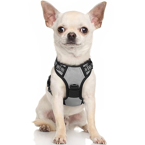 rabbitgoo Hundegeschirr Kleine Hunde Anti Zug Geschirr Hund mit Kontrolle No Pull Verstellbar Hundegeschirr Grosse Hunde Atmungsaktiv Reflexstreifen Brustgeschirr Hund Sichere Führung Grau XS von rabbitgoo