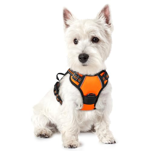 rabbitgoo Hundegeschirr Kleine Hunde, Anti Zug Geschirr mit Kontrolle, No Pull Verstellbar Hundegeschirr Grosse Hunde, Atmungsaktiv Reflexstreifen Brustgeschirr Sichere Führung Orange XS von rabbitgoo