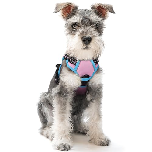 rabbitgoo Hundegeschirr Kleine Hunde Anti Zug Geschirr Hund mit Kontrolle No Pull Verstellbar Hundegeschirr Grosse Hunde Atmungsaktiv Reflexstreifen Brustgeschirr Hund Sichere Führung Rosa+Blau XS von rabbitgoo