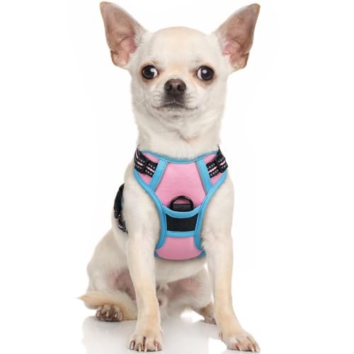 rabbitgoo Hundegeschirr Kleine Hunde Anti Zug Geschirr Hund mit Kontrolle No Pull Verstellbar Hundegeschirr Grosse Hunde Atmungsaktiv Reflexstreifen Brustgeschirr Hund Sichere Führung Rosa+Blau XS von rabbitgoo