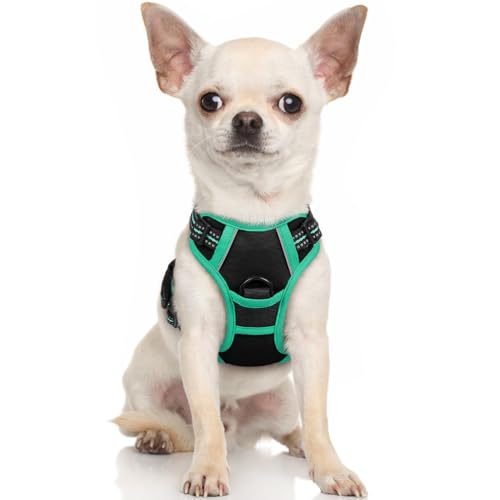 rabbitgoo Hundegeschirr Kleine Hunde Anti Zug Geschirr Hund mit Kontrolle No Pull Verstellbar Hundegeschirr Grosse Hunde Atmungsaktiv Reflexstreifen Brustgeschirr Hund Sichere Führung Schwarz+Grün XS von rabbitgoo