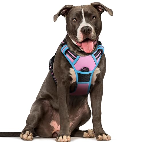 rabbitgoo Hundegeschirr Mittelgroße Hunde, Anti Zug Geschirr mit Kontrolle, No Pull Verstellbar Hundegeschirr Grosse Hunde, Atmungsaktiv Reflexstreifen Brustgeschirr Sichere Führung Rosa+Blau L von rabbitgoo