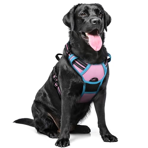 rabbitgoo Hundegeschirr Mittelgroße Hunde Anti Zug Geschirr Hund mit Kontrolle No Pull Verstellbar Hundegeschirr Grosse Hunde Atmungsaktiv Reflexstreifen Brustgeschirr Sichere Führung Rosa+Blau XL von rabbitgoo