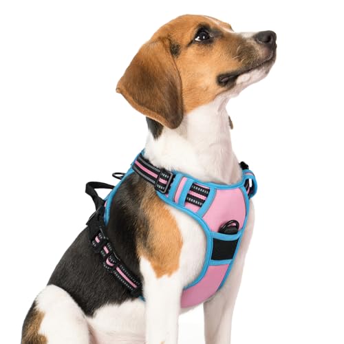 rabbitgoo Hundegeschirr Mittelgroße Hunde Anti Zug Geschirr Hund mit Kontrolle No Pull Verstellbar Hundegeschirr Grosse Hunde Atmungsaktiv Reflexstreifen Brustgeschirr Sichere Führung Rosa+Blau M von rabbitgoo