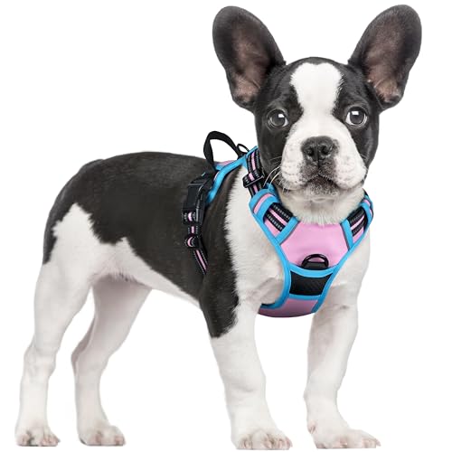 rabbitgoo Hundegeschirr Mittelgroße Hunde Anti Zug Geschirr Hund mit Kontrolle No Pull Verstellbar Hundegeschirr Grosse Hunde Atmungsaktiv Reflexstreifen Brustgeschirr Sichere Führung Rosa+Blau S von rabbitgoo