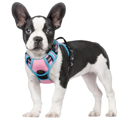 rabbitgoo Hundegeschirr Mittelgroße Hunde Anti Zug Geschirr Hund mit Kontrolle No Pull Verstellbar Hundegeschirr Grosse Hunde Atmungsaktiv Reflexstreifen Brustgeschirr Sichere Führung Rosa+Blau S von rabbitgoo