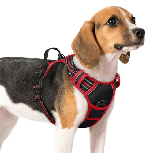 rabbitgoo Hundegeschirr Mittelgroße Hunde Anti Zug Geschirr Hund mit Kontrolle No Pull Verstellbar Hundegeschirr Grosse Hunde Atmungsaktiv Reflexstreifen Brustgeschirr Sichere Führung Schwarz+Rot M von rabbitgoo