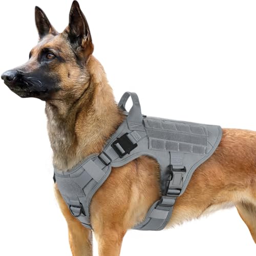 rabbitgoo No Pull Hundegeschirr Mittlere Grosse Hunde, Taktische Brustgeschirr mit MOLLE Griff Metallschnallen, Atmungsaktiv Militär Sicherheitsgeschirr, Verstellbares Gepolstert Hundeweste, M Grau von rabbitgoo