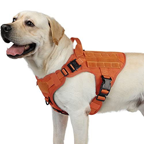 rabbitgoo No Pull Hundegeschirr Mittlere Grosse Hunde, Taktische Brustgeschirr mit MOLLE Griff Metallschnallen, Atmungsaktiv Militär Sicherheitsgeschirr, Verstellbares Gepolstert Hundeweste, M Orange von rabbitgoo