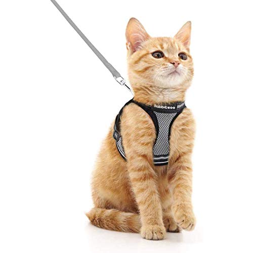 rabbitgoo Katzengeschirr Katzenleine Set Katzengeschirr mit Leine Geschirr Katzen ausbruchsicher verstellbar weich mit reflektierenden Streifen für Katzen Kitten Welpen Cat Harness Leash Grau M von rabbitgoo