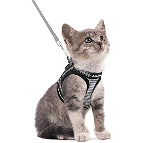 rabbitgoo Katzengeschirr Katzenleine Set Katzengeschirr mit Leine Geschirr Katzen ausbruchsicher verstellbar weich mit reflektierenden Streifen für Katzen Kitten Welpen Cat Harness Leash Grau S von rabbitgoo