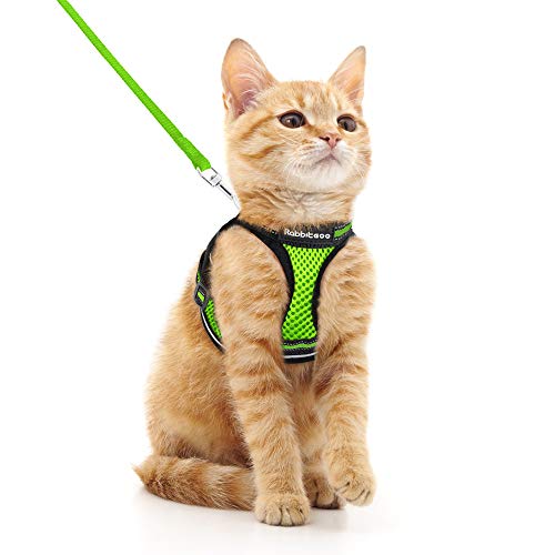 rabbitgoo Katzengeschirr Katzenleine Set Katzengeschirr mit Leine Geschirr Katzen ausbruchsicher verstellbar weich mit reflektierenden Streifen für Katzen Kitten Welpen Cat Harness Leash Hellgrün M von rabbitgoo