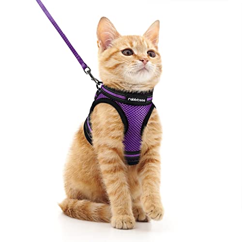 rabbitgoo Katzengeschirr Katzenleine Set Katzengeschirr mit Leine Geschirr Katzen ausbruchsicher verstellbar weich mit reflektierenden Streifen für Katzen Kitten Welpen Cat Harness Leash Lila M von rabbitgoo