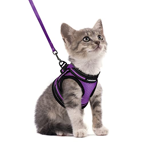 rabbitgoo Katzengeschirr Katzenleine Set Katzengeschirr mit Leine Geschirr Katzen ausbruchsicher verstellbar weich mit reflektierenden Streifen für Katzen Kitten Welpen Cat Harness Leash Lila S von rabbitgoo