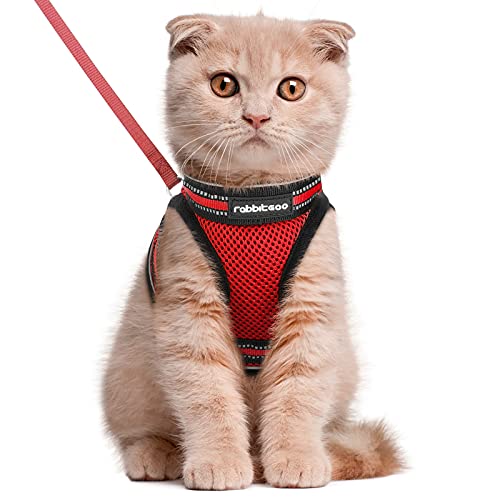 rabbitgoo Katzengeschirr Katzenleine Set Katzengeschirr mit Leine Geschirr Katzen ausbruchsicher verstellbar weich mit reflektierenden Streifen für Katzen Kitten Welpen Cat Harness Leash Rot L von rabbitgoo