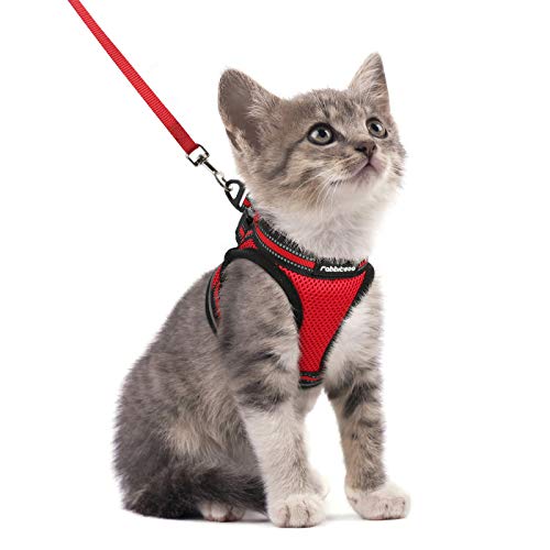 rabbitgoo Katzengeschirr Katzenleine Set Katzengeschirr mit Leine Geschirr Katzen ausbruchsicher verstellbar weich mit reflektierenden Streifen für Katzen Kitten Welpen Cat Harness Leash Rot S von rabbitgoo