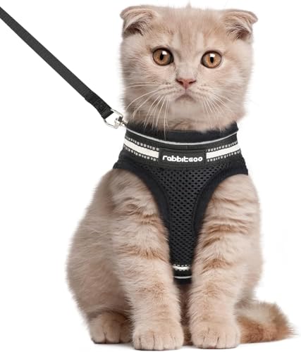 rabbitgoo Katzengeschirr Leine Set Geschirr für Katzen ausbruchsicher Katzenleine Kitten verstellbar weich Kätzchenweste mit reflektierenden Streifen für extra kleine kleine Katzen Cat Harness L von rabbitgoo