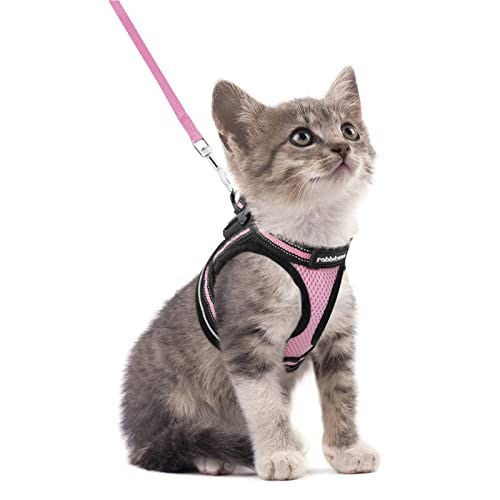 rabbitgoo Katzengeschirr Katzenleine Set Katzengeschirr mit Leine Geschirr Katzen ausbruchsicher verstellbar weich mit reflektierenden Streifen für Katzen Kitten Welpen Cat Harness Leash Rosa S von rabbitgoo