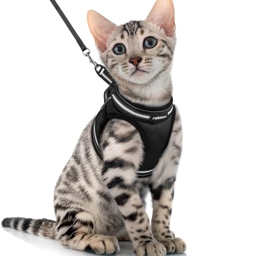 rabbitgoo Katzengeschirr mit Leine Ausbruchsicher, Katzenleine mit Geschirr für Katzen, Katzengeschirr Kitten Verstellbar Weich Kätzchenweste mit Reflektierenden Streifen Cat Harness Schwarz XL von rabbitgoo