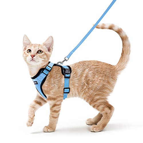 rabbitgoo Katzengeschirr mit Leine Softgeschirr für Katze Brustgeschirr Cat Harness Katzengarnitur Ausbruchsicher Verstellbar Katzenweste Hellblau XS von rabbitgoo