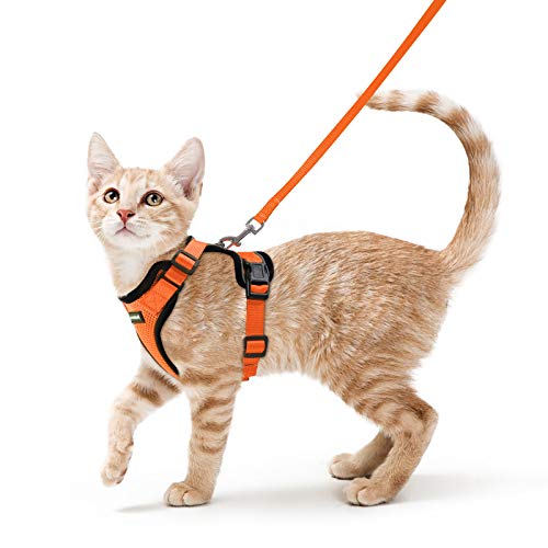 rabbitgoo Katzengeschirr mit Leine Ausbruchsicher Katzenleine Kitten Welpengeschirr Verstellbar Cat Harness Weich Brustgeschirr für Katzen kleine Hunde Kaninchen Reflektierend Streife Orange S von rabbitgoo