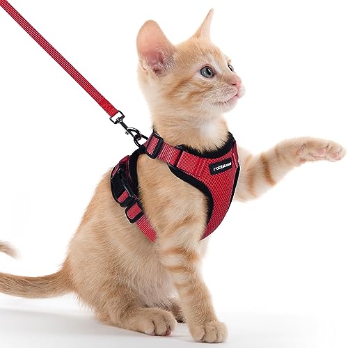 rabbitgoo Katzengeschirr mit Leine Softgeschirr für Katze Brustgeschirr Cat Harness Katzengarnitur Ausbruchsicher Verstellbar Katzenweste Rot XXS von rabbitgoo